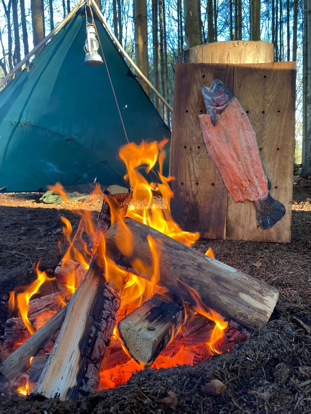 Flammlachs am Lagerfeuer im Camp